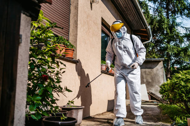 Best Best Pest Control Companies  in Helena Flats, MT