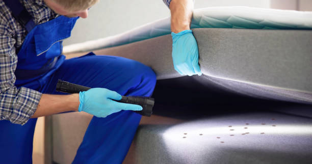 Best Affordable Pest Control Services  in Helena Flats, MT