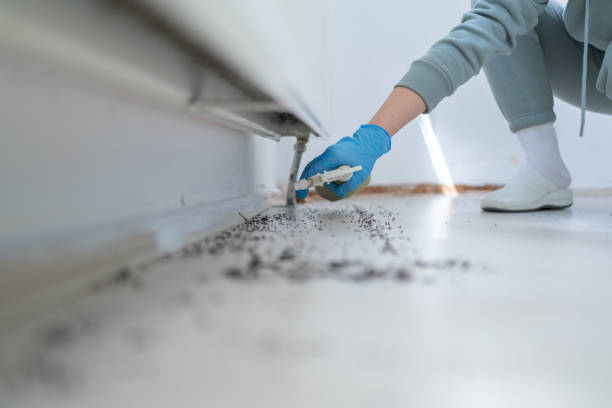 Best Pest Prevention Services  in Helena Flats, MT